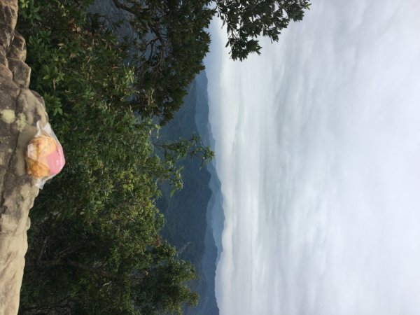 慶元旦（🎉🍾️2025-01-01🍾️🎊2680644