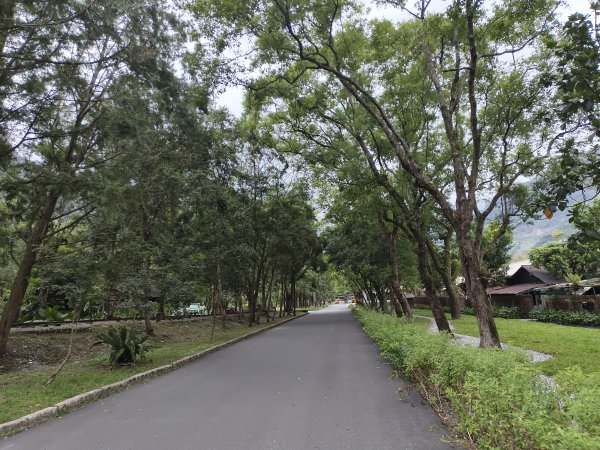[漫遊縱谷 愛在花東-08/10] 2025_1012 林田山林業文化園區步道2913528