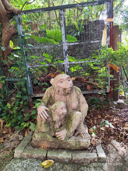 天母水管路步道→天母古道→磺溪→白雲瀑布【發現陽明山、臺北健走趣】2864649