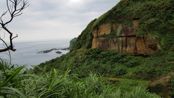 鼻頭角秘境+鼻頭山+海園古道569509