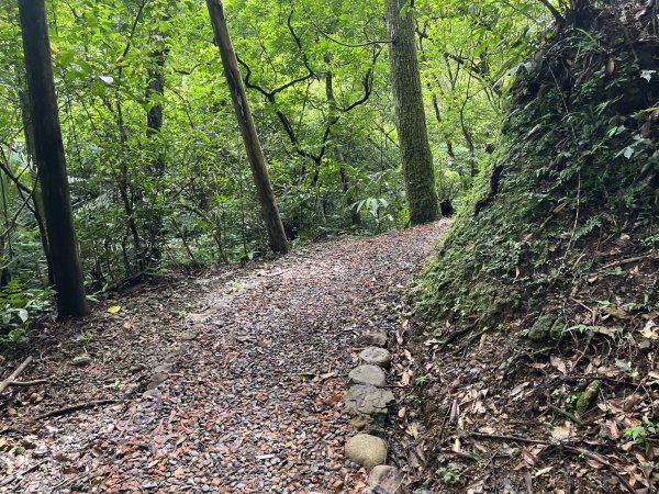 [微笑山線_第十二段] 2025_0803 五分山系_望古瀑布2851546