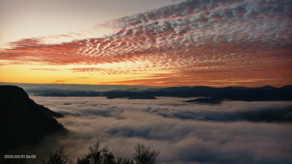 翡翠水庫壩頂 #曙光 #日出 #火燒雲 #斜射光(上帝光) #雲海 3/12722438
