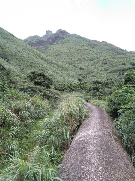 20190530 茶壺山555峰598764