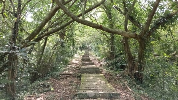 瑞芳區琉榔路觀光步道-小粗坑古道(小粗坑山+粗坑口山)3053290