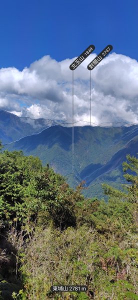 沙里仙林道、沙里仙溪、同富山/埔沙山、東埔山、阿毛巨木2812455