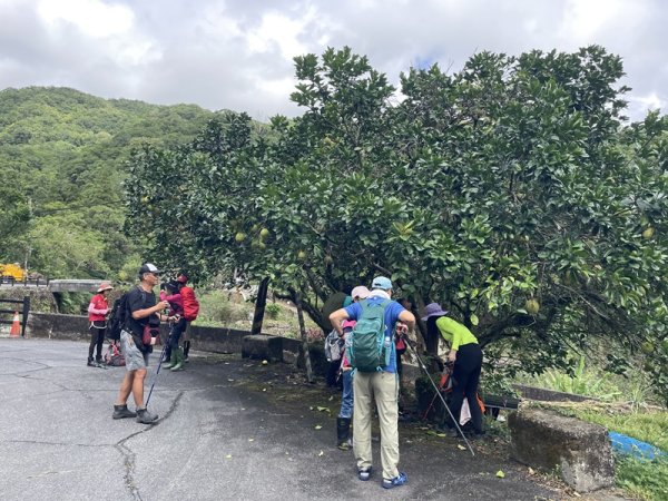 中坑古道西線(張家古厝)2899236