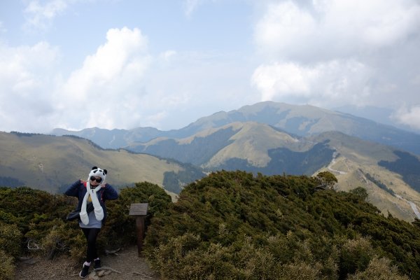 合歡山東峰742230