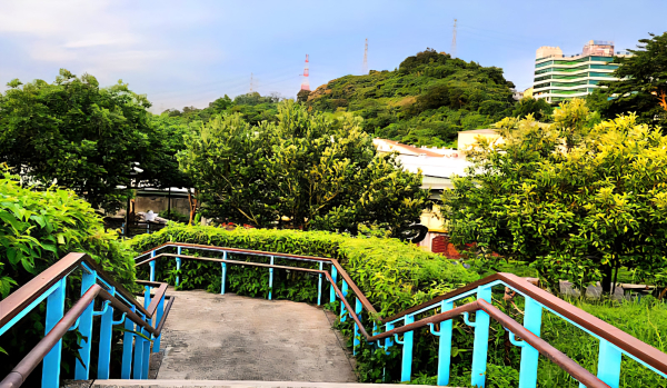 土城仁德公園，金城公園，大清水運動公園，青山公園，清和社區公園，中坑山東北峰（錦和運動公園），藤寮坑溝步道，瓦磘溝步道