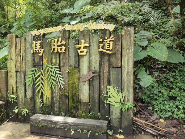 馬胎古道、南坪古道3081819