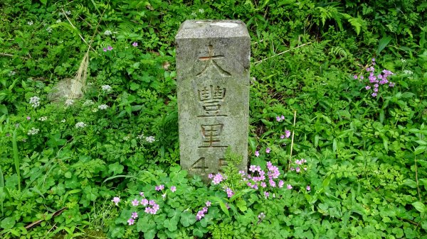 土白公路版1662787