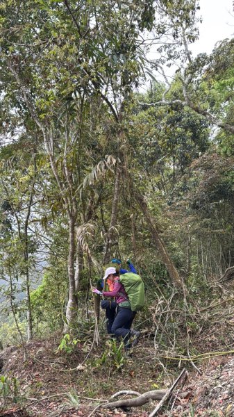 六龜警備線南段（藤枝-茂林）2天1夜2758274