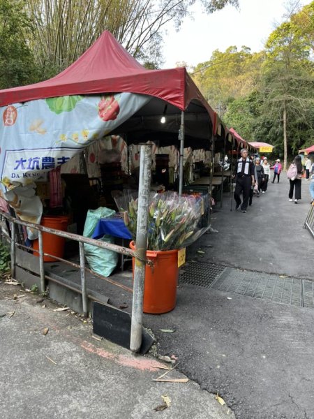 大坑9-1號步道2732229