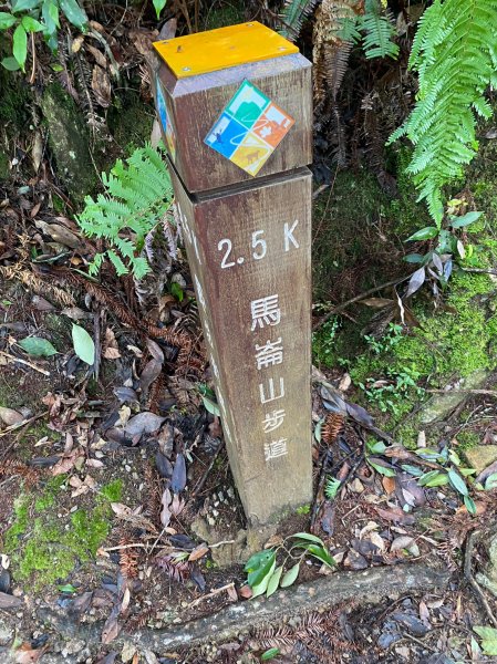 谷關七雄 老六 馬崙山2257754