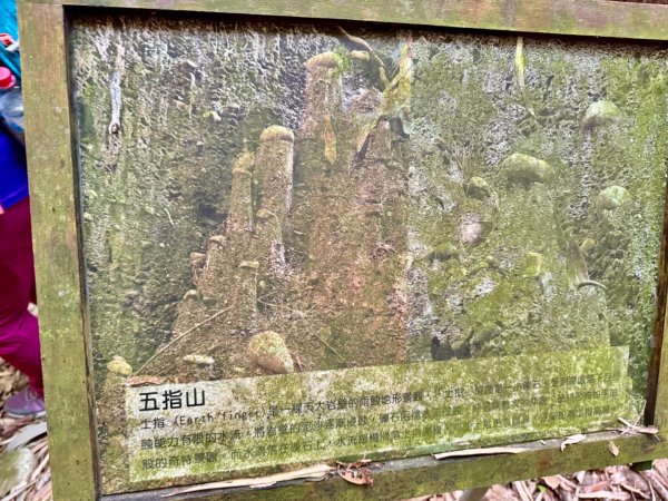 彰化一線天2657576