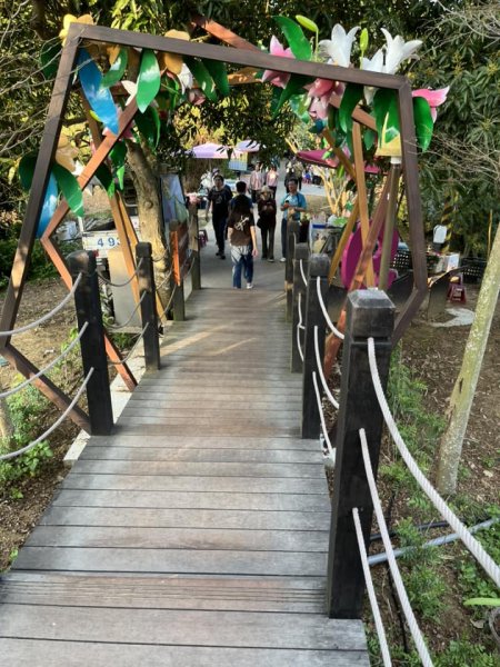 大坑9-1號步道2732247