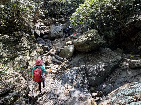女仍山+帽子山O繞 202602273009550