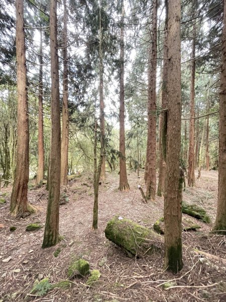 石山秀湖 2025 02/28 三天兩夜2865960