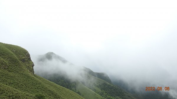 雲山水花鳥蝶 - 天龍國阿伯的日常5/61705610