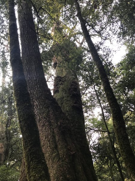 霞喀羅大山,佐藤山順訪佐藤駐在所1324544