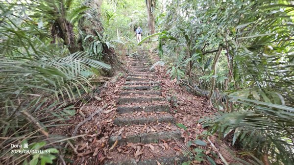 頭城農場→梗枋百年古道→坪溪古道→象寮古道→石空古道→石空山→岩藏山O型3097566