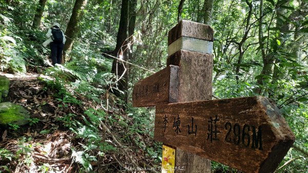 《新竹》遺世古堡｜尖石李崠山登山步道202507182841017