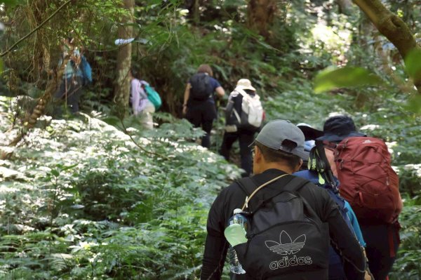 1140823油羅山2868151