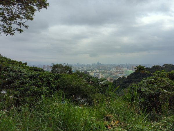 2022.03.05－大棟山縱走1636842