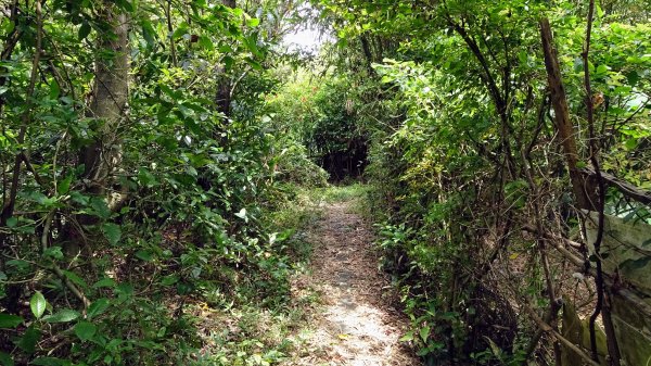 祥豐社區越嶺正濱漁港2235037