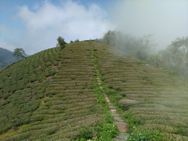 2023-05-28 雲嘉六連峰2166217