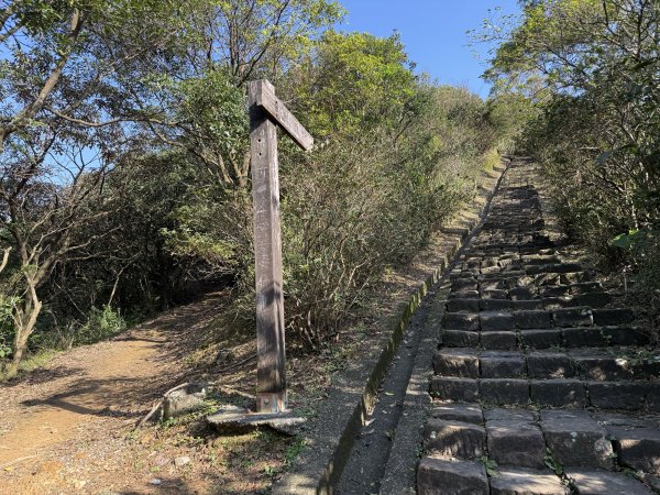 2025/01/20 金瓜石 基隆山 茶壺山2894032
