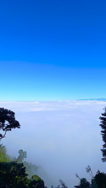 溪頭~金柑樹山/嶺頭山/忘憂森林O形走（沿路竟是耶穌光）1884170