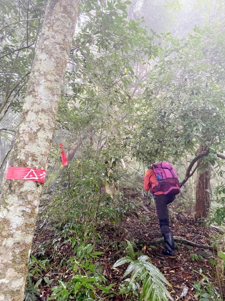 霧雨濛濛南橫玉穗山行 2021181233435