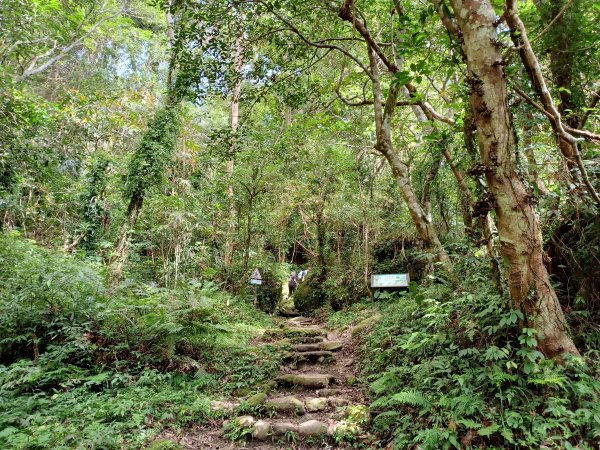 【台東。 東河】走一趟卑南族阿美族的聖山。 小百岳集起來。 編號96小百岳-都蘭山步道