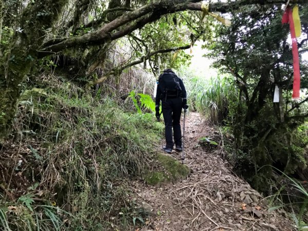 搭過山車飛越哈加縱走1132894