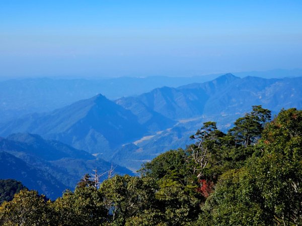 稍來山賞楓2962574