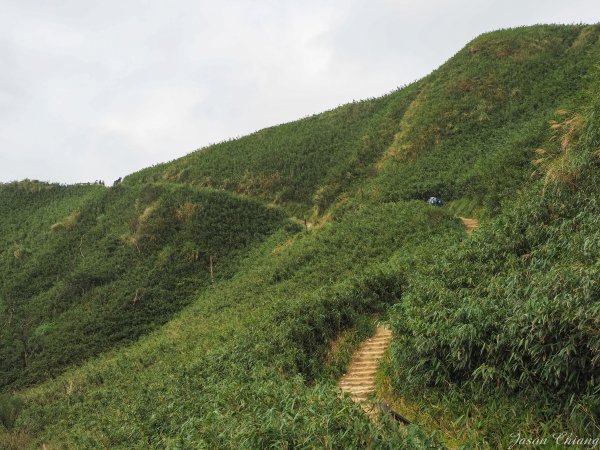 [宜蘭]五峰旗-聖母山莊-三角崙山820493