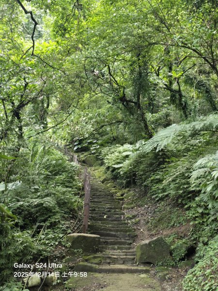 2025-12-14微笑山線：【二格山系】銀河洞越嶺段2962124