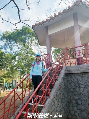 【新竹東區】十八尖山x十八尖山東峰x石家魚丸x東門倆冰糖葫蘆x城隍廟鄭家蛋糕2984198