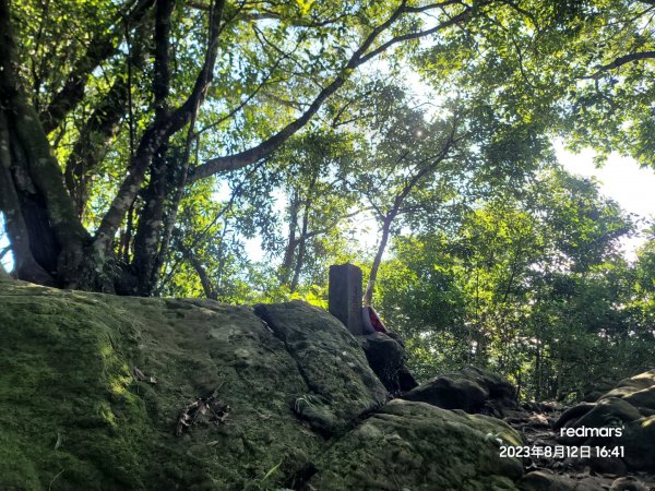 05-關西赤柯山、東獅頭山步道-20230812-2023森遊竹縣尋寶特攻隊2261221