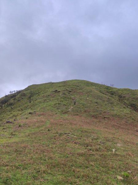 渭水之丘 烘爐地山 抹茶山 三角崙山2938794
