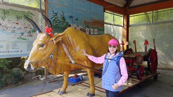(姨婆趴趴走)第四十六集:新竹關西赤柯山及南峰、東西獅頭山、馬福山環狀縱走2685725