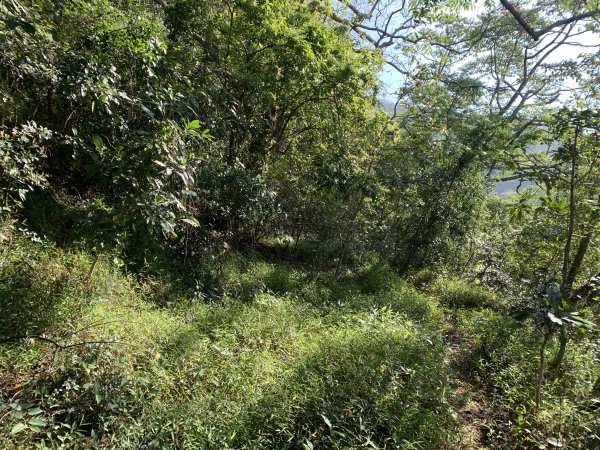 20250301屏東戶亞宇山主峰-基點峰2732980