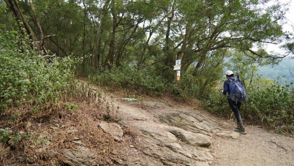 小百岳集起來_笠頂山登山步道2368372