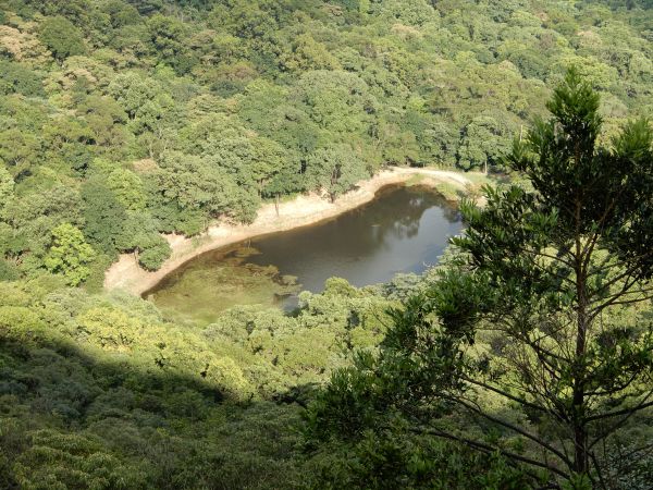 五指山古道+新山夢湖步道O型381725