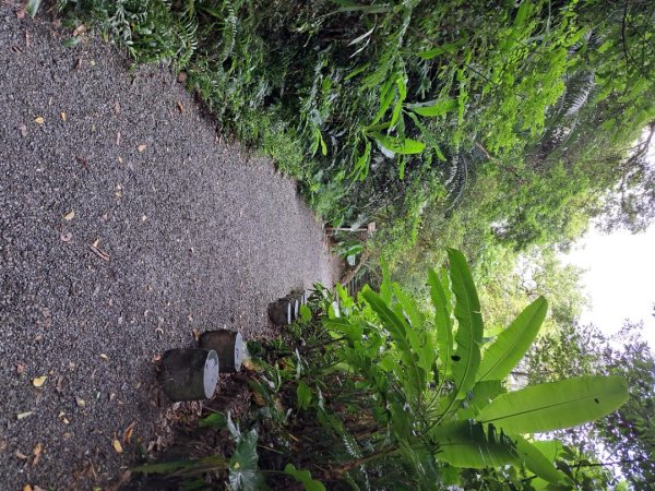 淡蘭南路第一段，第二段：捷運六張犁至烏塗溪步道3105042