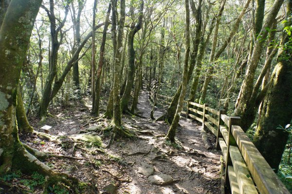 桃園-三峽 志繼山、東眼山、拉卡山、卡外山3005191