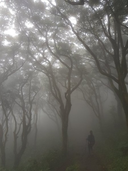 向天池山994243