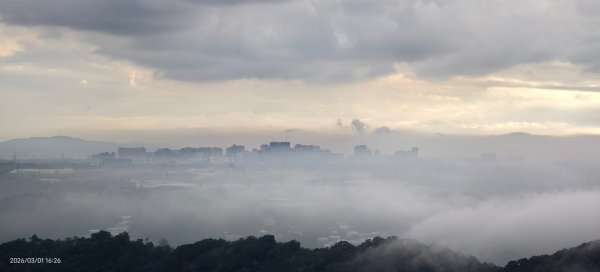 #雲瀑 #雲海 #琉璃光 #天空之城（林口）#觀音山 #林梢步道 3/13008598