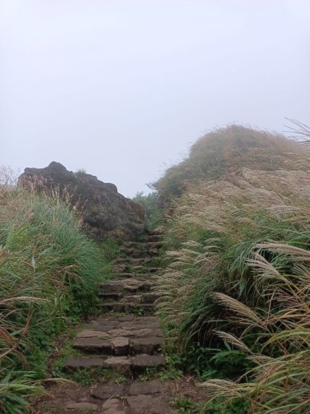 走遍陽明山2301750