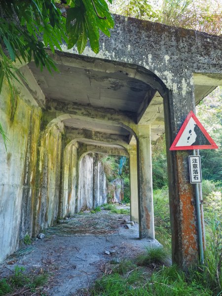 [百岳]能高越嶺逆走與奇萊南峰1042677